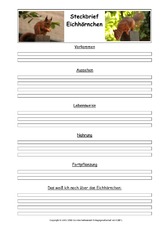 Eichhörnchen-Steckbriefvorlage-1.pdf